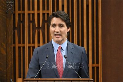 Thủ tướng Canada sẽ có chuyên cơ mới sau sự cố máy bay