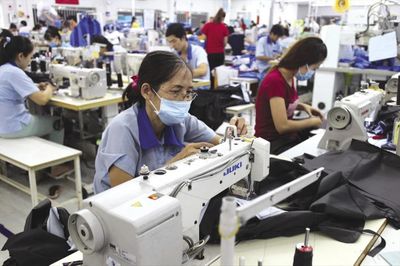 Tư vấn việc làm cho người cao tuổi