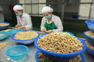 Các thị trường xuất khẩu hạt điều lớn nhất của Việt Nam