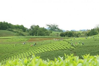 Thái Nguyên: Đại Từ phát triển du lịch xanh