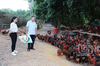 Tăng giá trị cho thương hiệu 'Gà đồi Phú Bình'