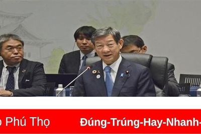 Nhật Bản: Nước từ Nhà máy Fukushima thải ra biển 'an toàn'