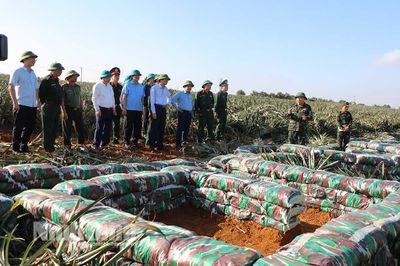 Ban chỉ đạo Diễn tập khu vực phòng thủ tỉnh năm 2023 kiểm tra công tác chuẩn bị diễn tập