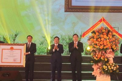 Phó Thủ tướng Trần Lưu Quang dự lễ công nhận huyện Kim Sơn đạt chuẩn nông thôn mới