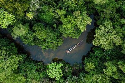 Mục tiêu phát thải ròng của châu Âu có nguy cơ 'đổ bể'