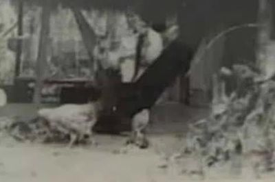 Cô giáo tôi - Hoàng Minh Trâm; Đi tìm chồng (Kỳ 4 - Hết)