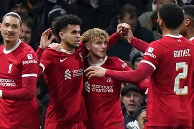 Nhận định Liverpool vs Norwich, 21h30 ngày 28/1: 'The Reds' dạo chơi