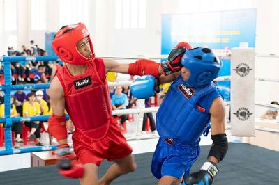 Thể thao An Giang duy trì thế mạnh võ thuật