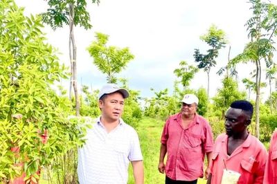 Tiến sĩ Việt trồng 'vàng xanh' ở châu Phi