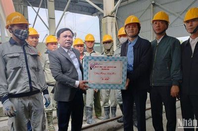 Ninh Bình rộn ràng ra quân sản xuất những ngày đầu năm mới