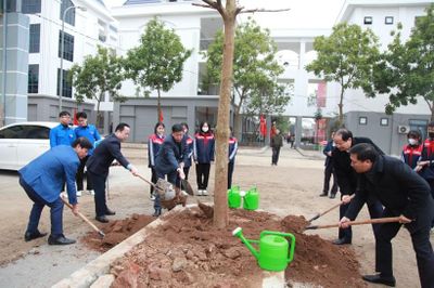 Hà Nội: Phát động mỗi giáo viên, học sinh trồng 1 cây xanh