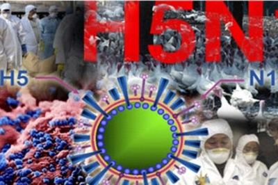 Nam sinh 21 tuổi tử vong do mắc cúm A/H5N1, đây là dấu hiệu nhận biết và cách phòng bệnh hiệu quả nhất