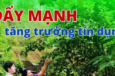 Đẩy mạnh tăng trưởng tín dụng
