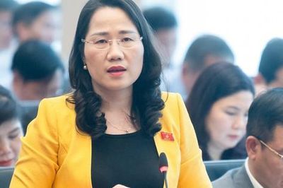 Đại biểu Quốc hội: 5 lý do để quy định 2 ngạch Thẩm phán