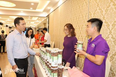 Hỗ trợ kết nối các mô hình thanh niên khởi nghiệp