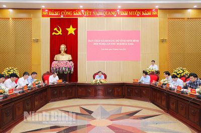 Hội nghị Ban Chấp hành Đảng bộ tỉnh lần thứ 20