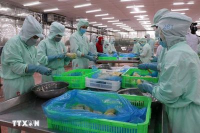 Cơ hội thương mại mở rộng cho các công ty Canada khi đầu tư vào Việt Nam