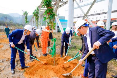 Bài 4: Chú trọng công tác trồng cây xanh, bảo vệ môi trường