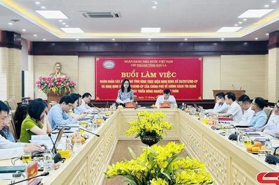 Khảo sát, đánh giá tình hình thực hiện chính sách tín dụng phục vụ phát triển nông nghiệp, nông thôn