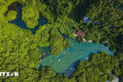 10 năm Quần thể danh thắng Tràng An được UNESCO ghi danh là Di sản Thế giới