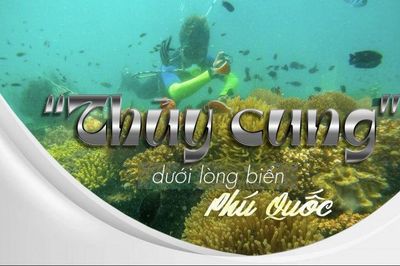 'Thủy cung' dưới lòng biển Phú Quốc