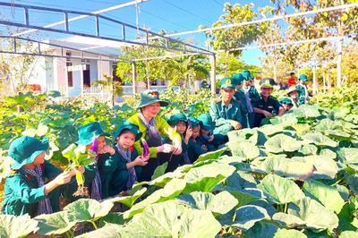 Cà Mau: Nhiều hoạt động chào mừng kỷ niệm 70 năm Chiến thắng Điện Biên Phủ