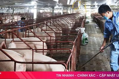 Các ngân hàng 'chật vật' phát triển dư nợ