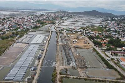 Tiếp diễn câu chuyện 'được mùa mất giá' muối