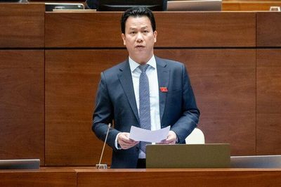 Bộ trưởng TN&MT nói về việc khai thác khoáng sản không qua đấu giá