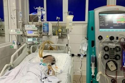 Bị mò đốt, người phụ nữ 69 tuổi nguy kịch tính mạng