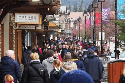 Nhập cư tiếp tục giúp dân số Canada tăng nhanh chóng