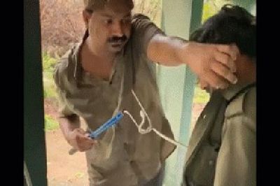 Clip: Người đàn ông bị con rắn chui vào trong áo và cái kết