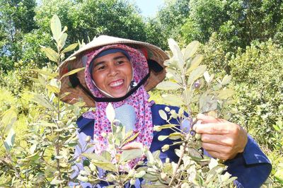 Chộn rộn mùa sim