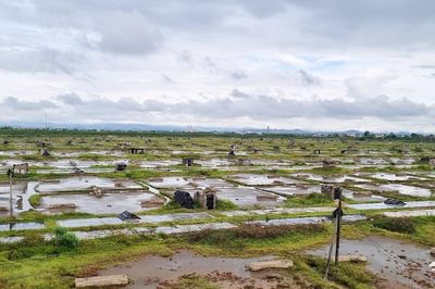 Diêm dân lạnh nhạt với nghề làm muối
