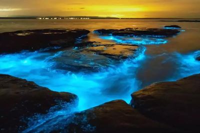 Những hiện tượng 'có một không hai' trên thế giới