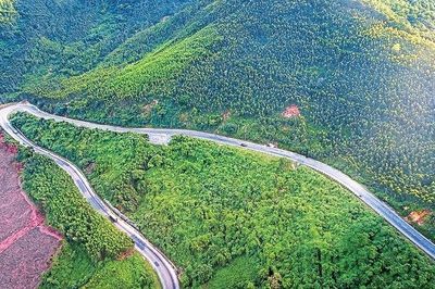 Nhớ người giao liên gan dạ Phan Văn Thám