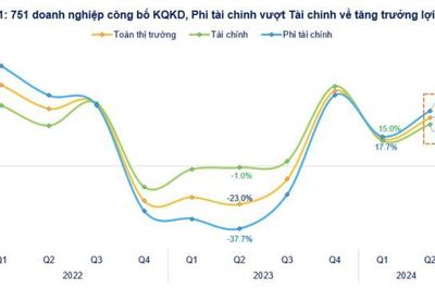 Cập nhật lợi nhuận quý 2/2024: Nhóm phi tài chính bất ngờ trỗi dậy tăng 33%