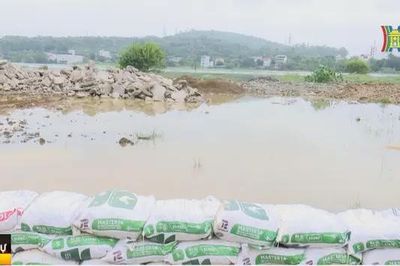 Đắp bờ chống tràn tuyến đê xung yếu Đồng Lọng