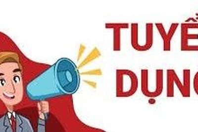 Thông báo tuyển dụng cán bộ cho Ngân hàng TMCP Ngoại thương Việt Nam-Chi nhánh Gia Lai