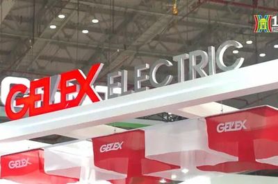 Gelex chính thức trở thành cổ đông lớn của Eximbank