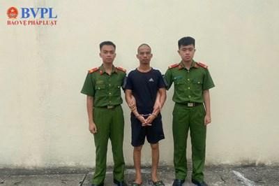 Khởi tố người đàn ông mua rắn hổ chúa về ngâm rượu