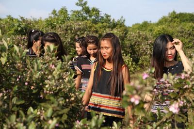 Thảo nguyên Bùi Hui 'thức giấc'