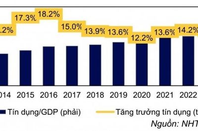Tín dụng sẽ tập trung vào các ngân hàng nào?