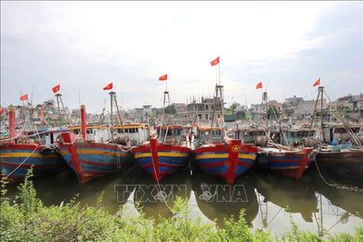 Thái Bình: Sẵng sàng ứng phó bão số 3