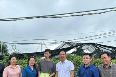 Hội Nông dân thành phố hỗ trợ hội viên nông dân thiệt hại nặng nề do bão số 3