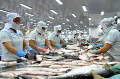 Cá tra nhiều dư địa vượt mục tiêu xuất khẩu 2 tỷ USD