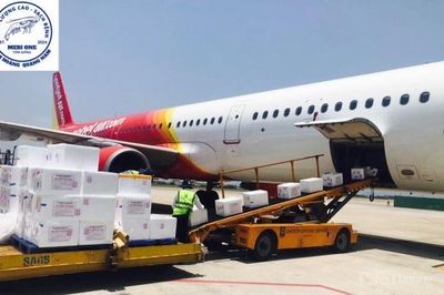 2,5 triệu con tôm giống được xuất khẩu chính ngạch sang thị trường Đài Loan (Trung Quốc)