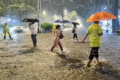 Ấn Độ: Mưa lớn gây ngập lụt tại Mumbai, hàng loạt trường học đóng cửa