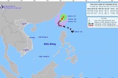 Dự báo thời tiết ngày mai 4/10/2024: Bão rời Biển Đông - tin cuối cùng về cơn bão số 5