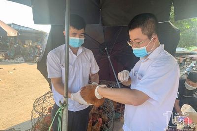 Quản lý chặt chẽ cơ sở giết mổ động vật